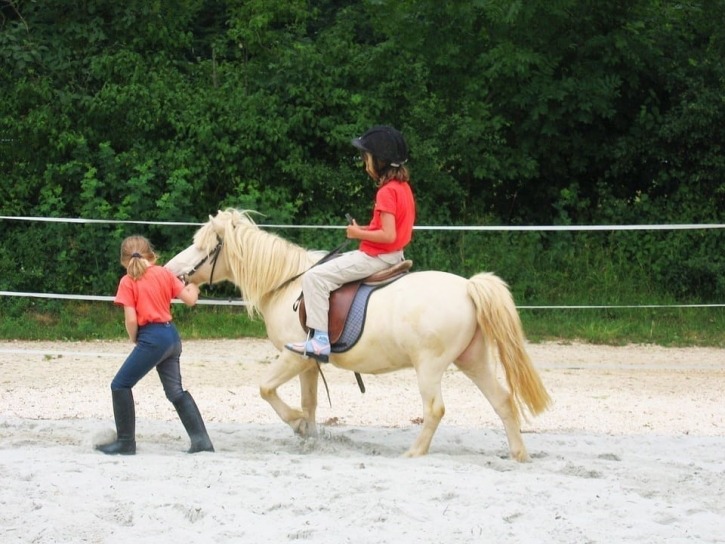 Niendorfer Gehege, Familienausflug, Ponyhof