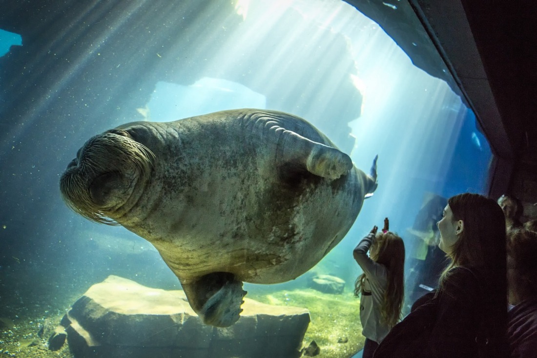 Hagenbeck Tierpark, Hamburg für Familien