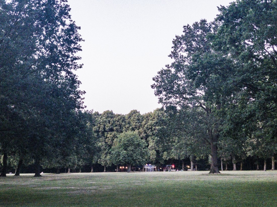 Parks in Hamburg: Bäume im Volkspark