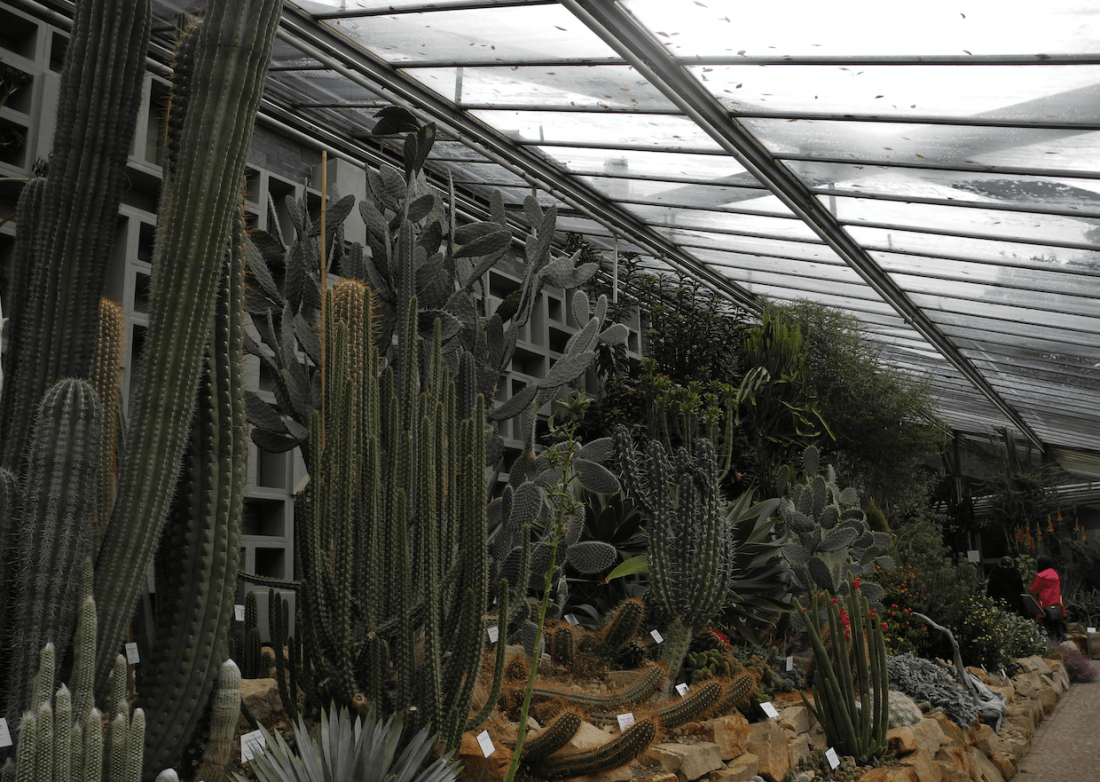 Family Time: Schaugewächshaus von Planten un Blomen