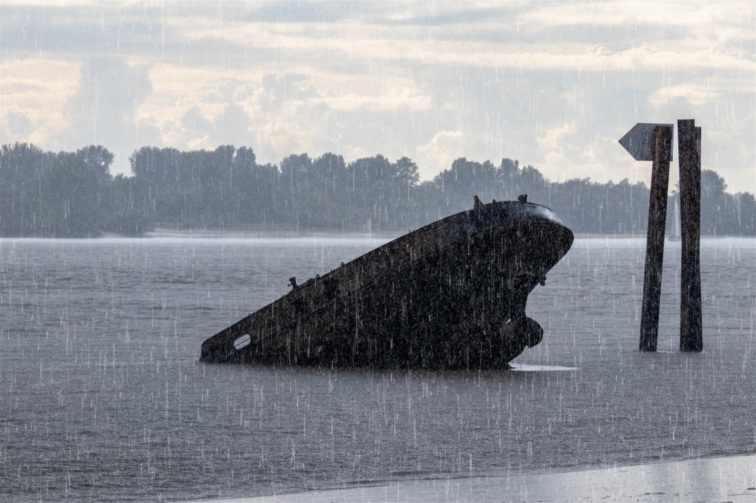 Hamburg Schiffswrack in Blankenese