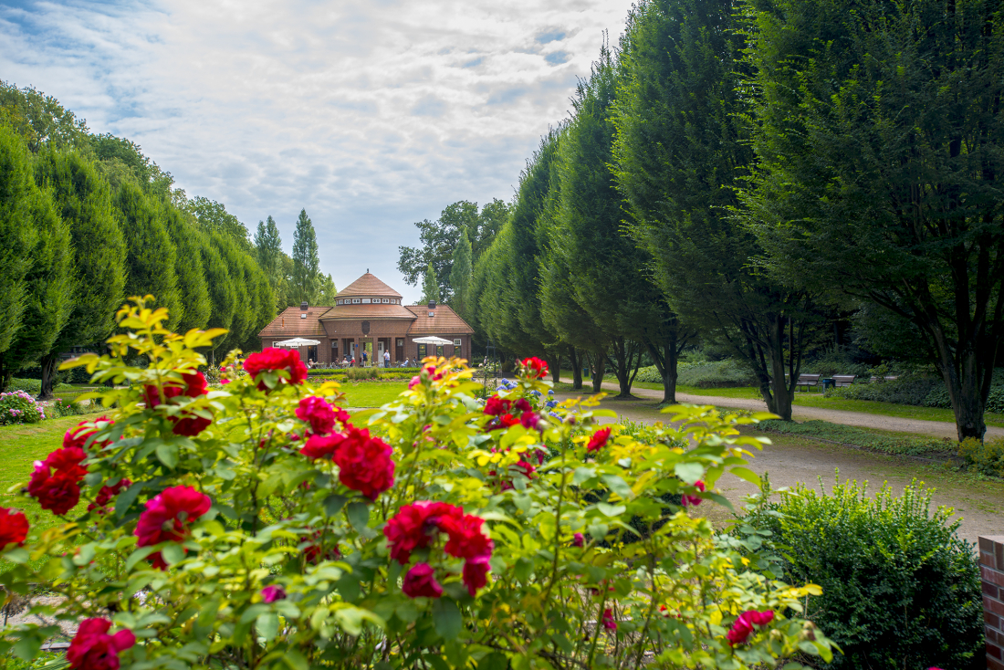 Sommer ahoi! Der Stadtpark in voller Blüte