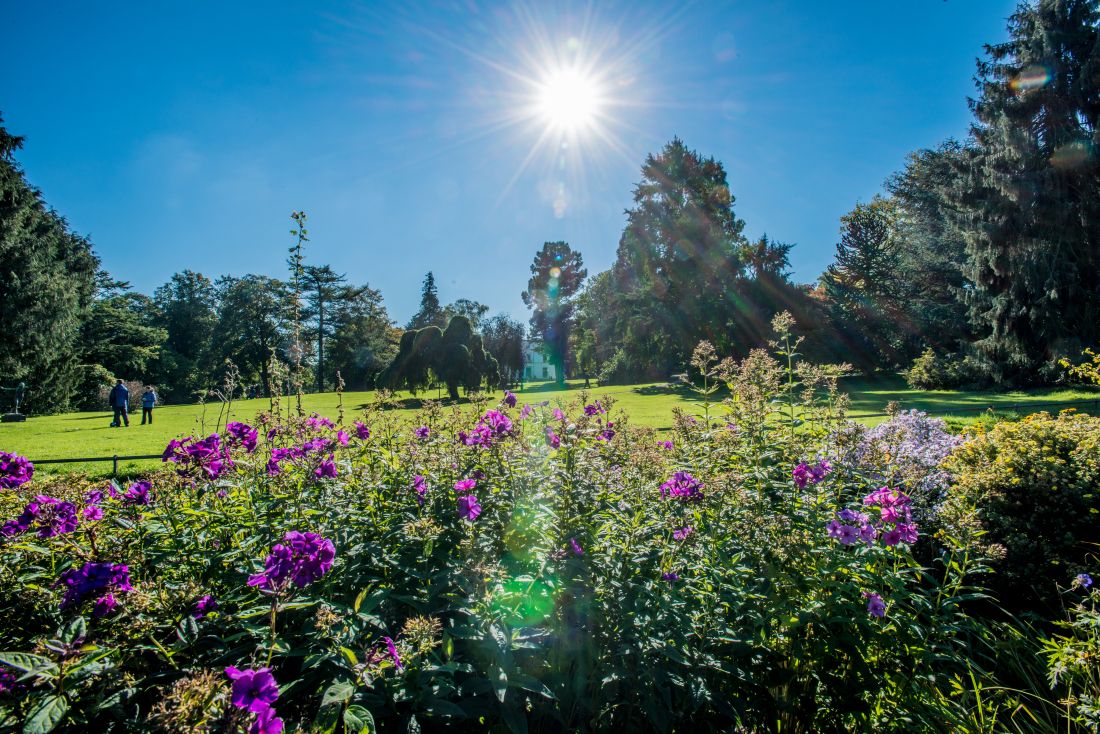 Parks in Hamburg: Blick in den Jenischpark
