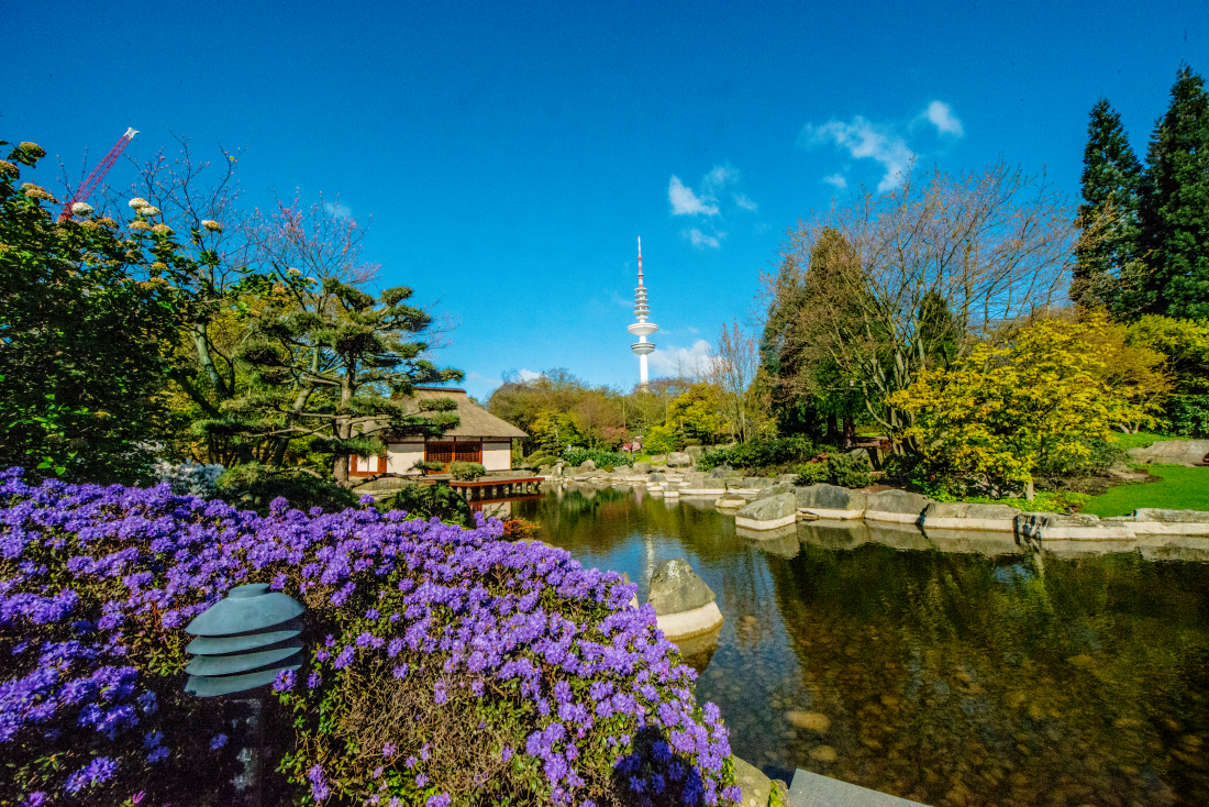 Parks in Hamburg: japanischer Garten in Planten un Blomen