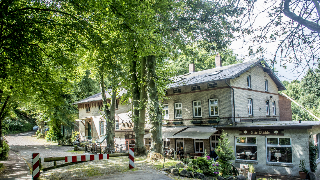 Die Muhle Alternative Energie Ganz Historisch Hamburg Guide