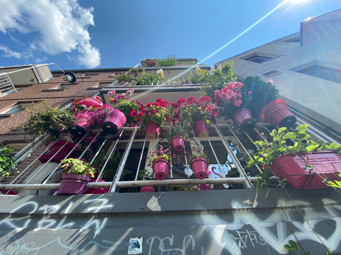 Hamburgisch: blühender Balkon in Ottensen