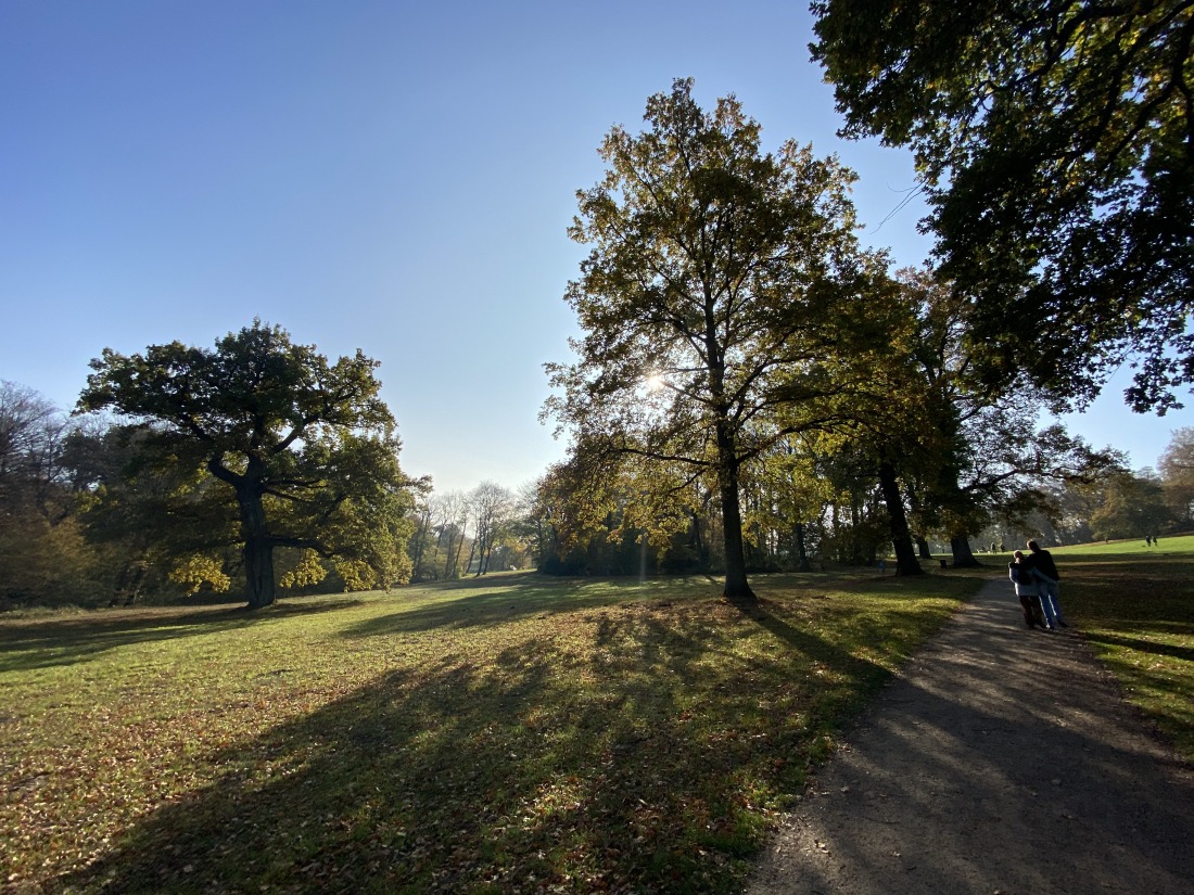 Spaziergänger im Jenischpark