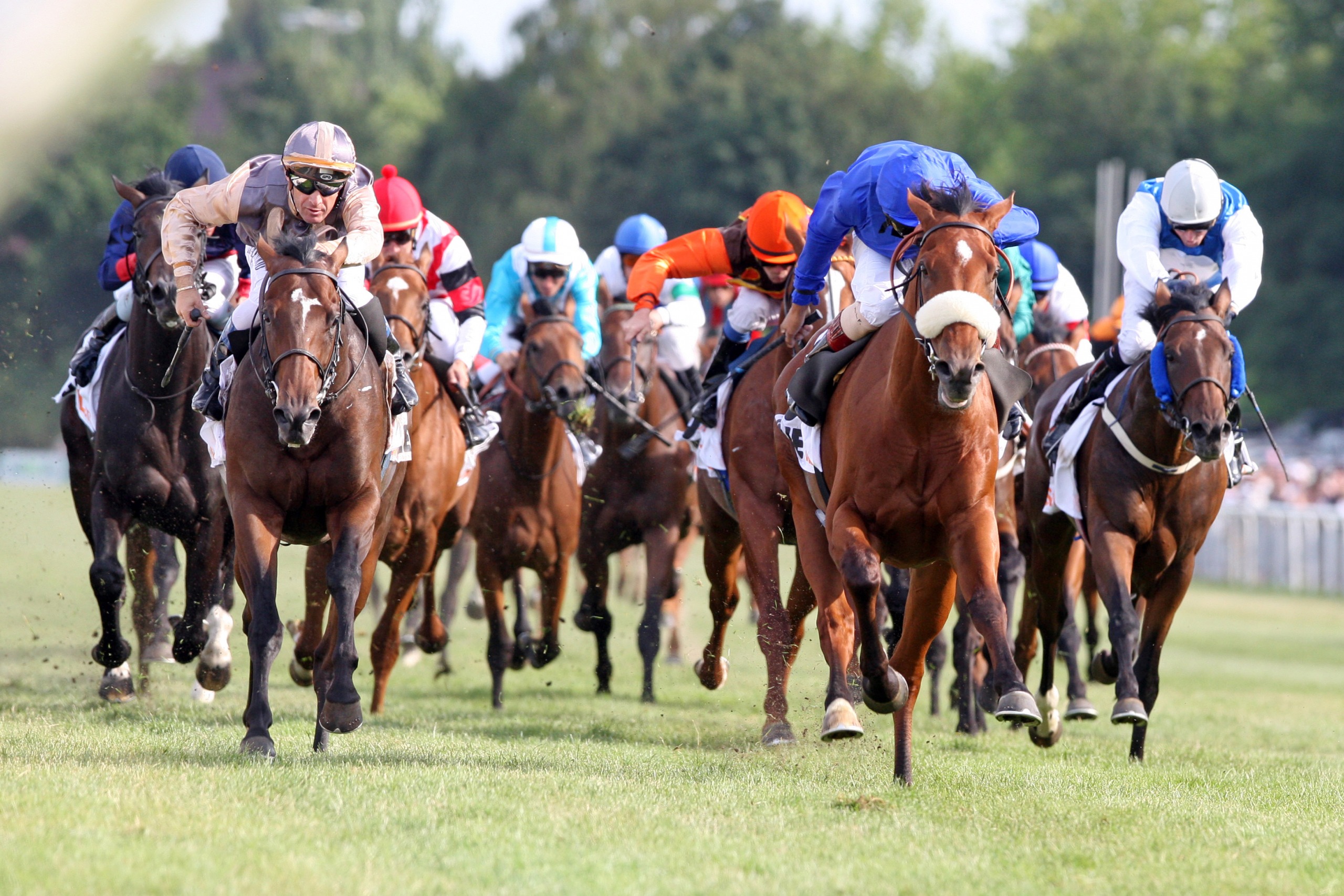Derby-Meeting - Hamburg Guide