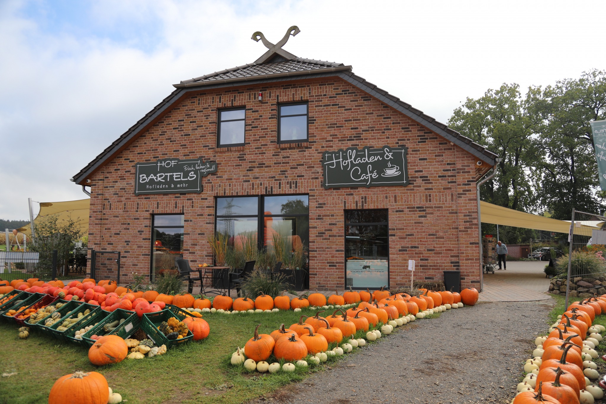 CAROLINE BLEICKEN HOF BARTELS KÜRBIS OKTOBER CAFE HALLOWEEN MAIS RADE
