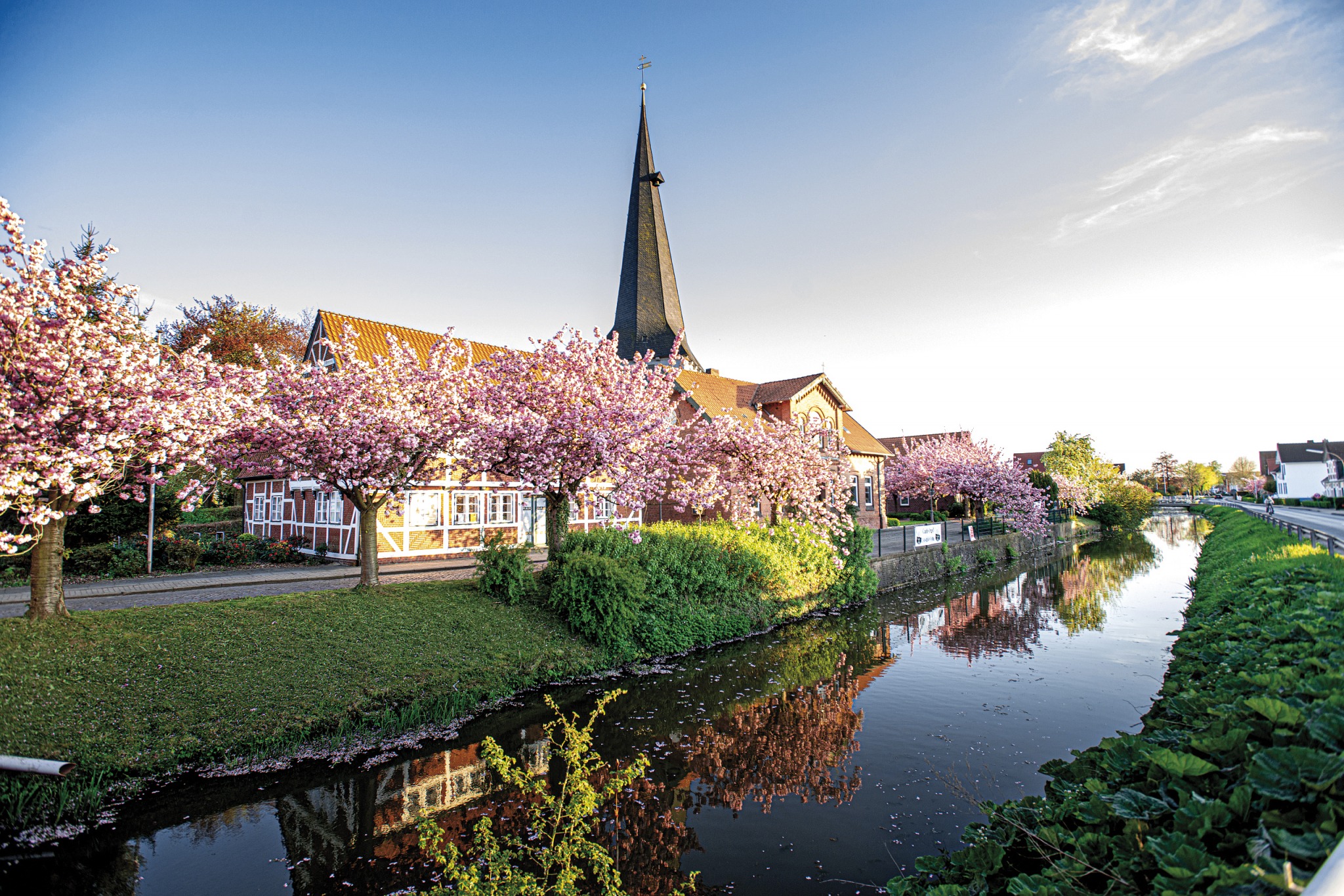 Willkommen zum Altländer Blütenfest: Frühling von seiner schönsten ...